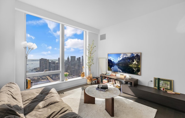 252 S St Unit 73-K, New York City, NY 10002 - living area with wood finished floors