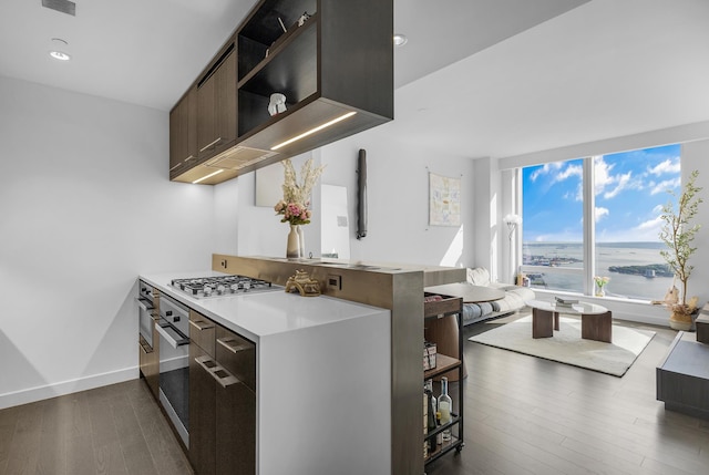 252 S St Unit 73-K, New York City, NY 10002 - kitchen with appliances with stainless steel finishes, dark wood finished floors, light countertops, a peninsula, and a water view