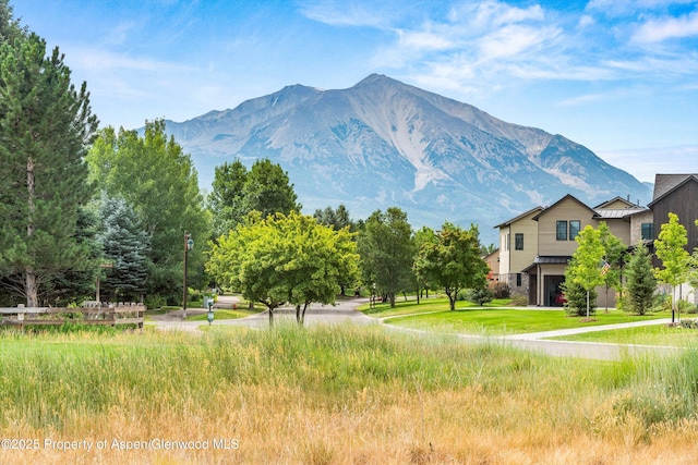10 Patterson Dr, Carbondale, CO 81623 - photo 54