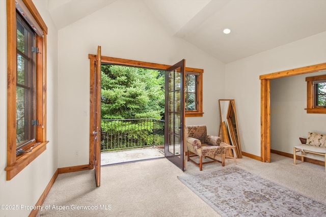 10 Patterson Dr, Carbondale, CO 81623 - photo 38
