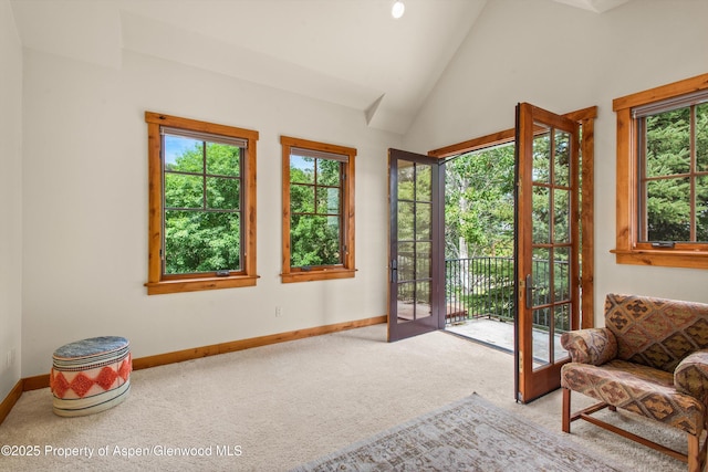 10 Patterson Dr, Carbondale, CO 81623 - photo 37