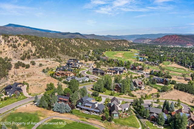 10 Patterson Dr, Carbondale, CO 81623 - photo 69