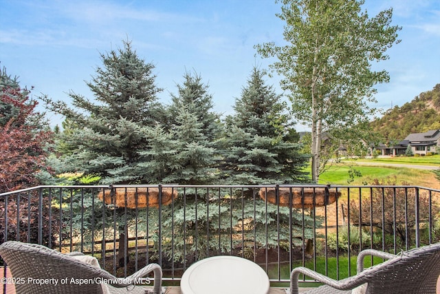 10 Patterson Dr, Carbondale, CO 81623 - photo 33
