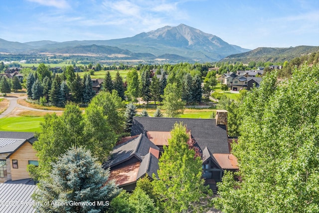 10 Patterson Dr, Carbondale, CO 81623 - photo 58
