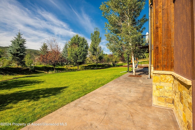 313 Cerise Ranch Rd, Carbondale, CO 81623 - view of grassy yard featuring a patio area
