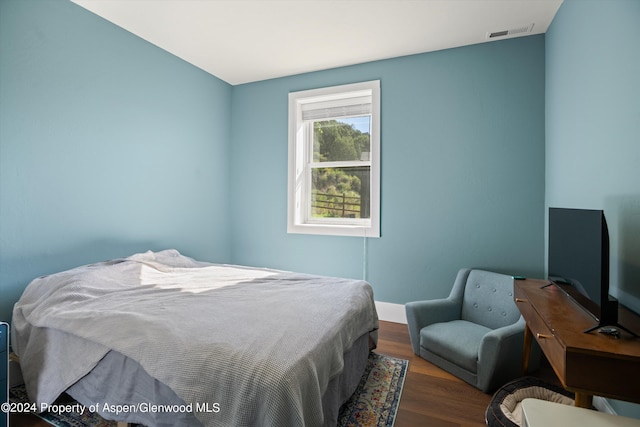 313 Cerise Ranch Rd, Carbondale, CO 81623 - bedroom featuring wood finished floors and baseboards