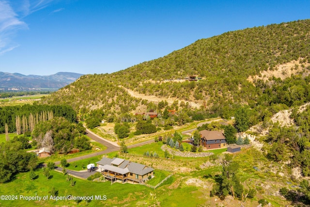 313 Cerise Ranch Rd, Carbondale, CO 81623 - mountain view