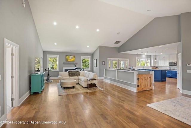 313 Cerise Ranch Rd, Carbondale, CO 81623 - living area with high vaulted ceiling, light wood-type flooring, healthy amount of natural light, baseboards, and recessed lighting