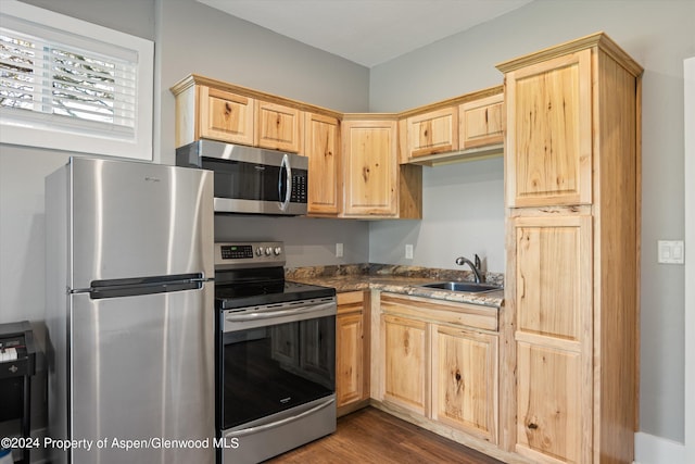 313 Cerise Ranch Rd, Carbondale, CO 81623 - kitchen featuring stainless steel appliances, a sink, light brown cabinetry, and dark wood finished floors