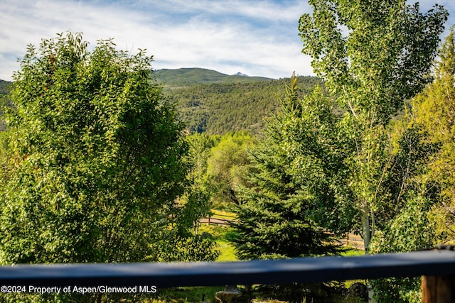 313 Cerise Ranch Rd, Carbondale, CO 81623 - view of mountain backdrop