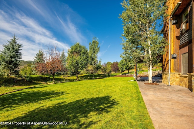 313 Cerise Ranch Rd, Carbondale, CO 81623 - view of grassy yard