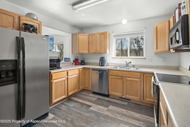 kitchen with light countertops, a sink, dark wood finished floors, and stainless steel appliances