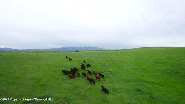 14651 County Road 3, Craig, CO 81625 - surrounding community featuring a mountain view and a view of rural / pastoral area