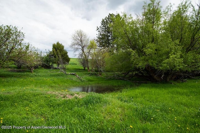 14651 County Road 3, Craig, CO 81625 - view of yard