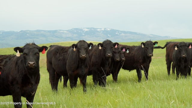 14651 County Road 3, Craig, CO 81625 - mountain view