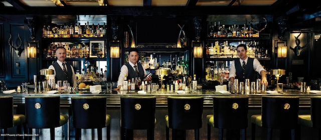 bar featuring indoor wet bar
