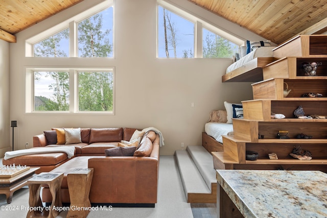 living room with high vaulted ceiling and wooden ceiling