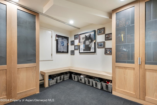 mudroom with dark carpet