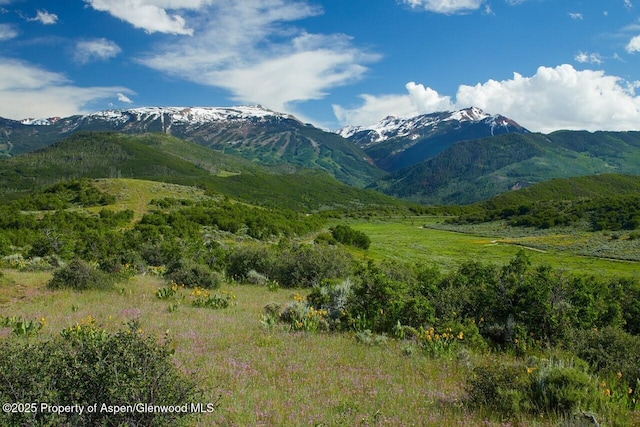 415 Rural Mountain Way, Snowmass, CO 81654 - photo 1