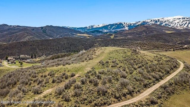 415 Rural Mountain Way, Snowmass, CO 81654 - photo 6