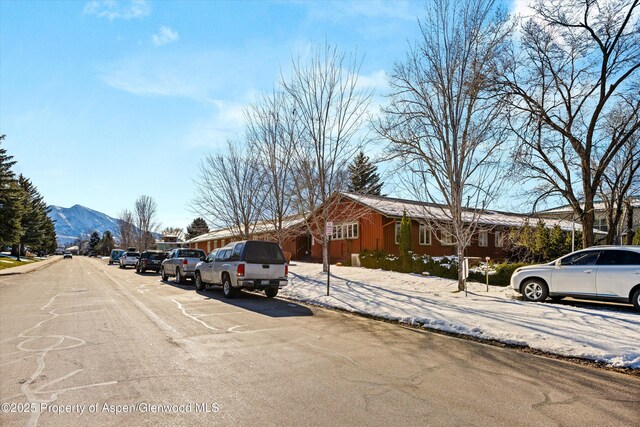 1101 Village Rd Unit Ll3B, Carbondale, CO 81623 - view of snowy yard