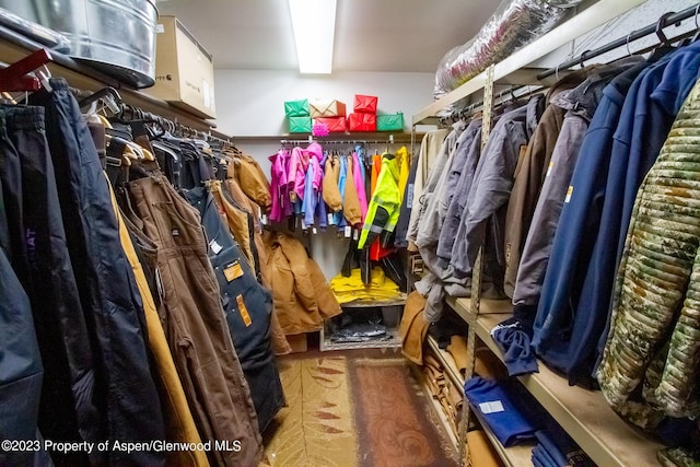 view of walk in closet