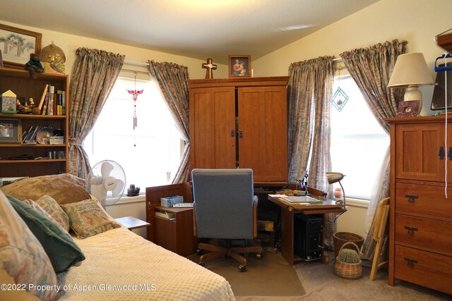 9501 County Road 10, Maybell, CO 81640 - photo 25