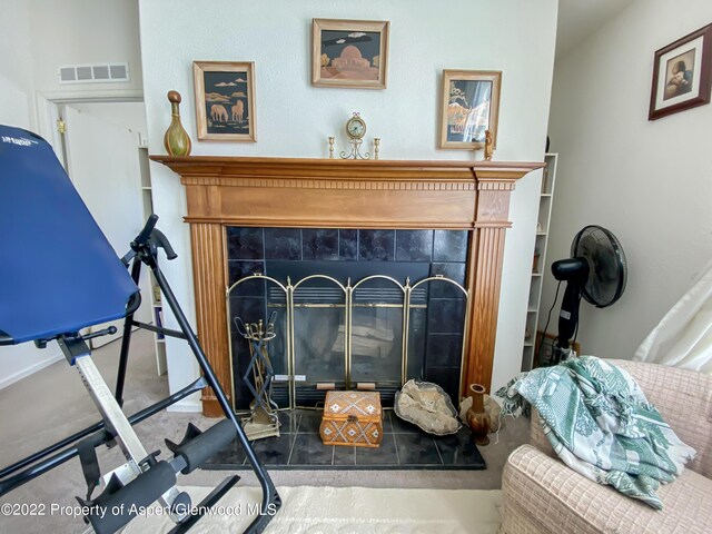 9501 County Road 10, Maybell, CO 81640 - photo 9