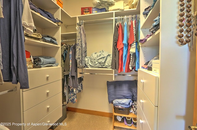view of walk in closet