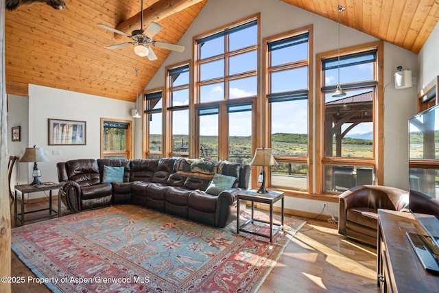 690 Heather Ln, Glenwood Springs, CO 81601 - photo 3
