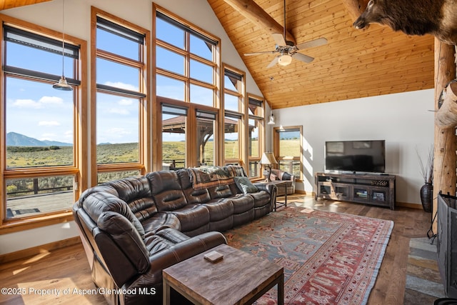 690 Heather Ln, Glenwood Springs, CO 81601 - photo 8