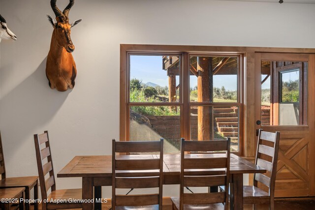 690 Heather Ln, Glenwood Springs, CO 81601 - photo 27