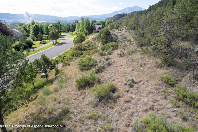 3871 Crystal Bridge Dr, Carbondale, CO 81623