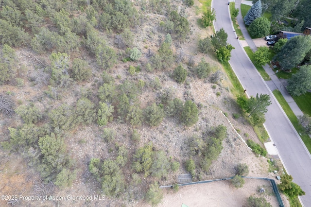 3871 Crystal Bridge Dr, Carbondale, CO 81623