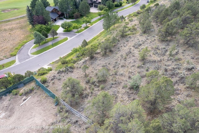 3871 Crystal Bridge Dr, Carbondale, CO 81623