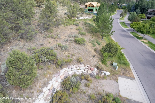 3871 Crystal Bridge Dr, Carbondale, CO 81623