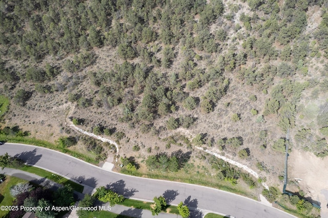 3871 Crystal Bridge Dr, Carbondale, CO 81623