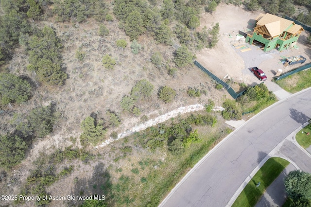3871 Crystal Bridge Dr, Carbondale, CO 81623
