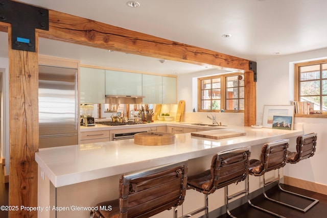 6770 Castle Creek Rd, Aspen, CO 81611 - photo 12