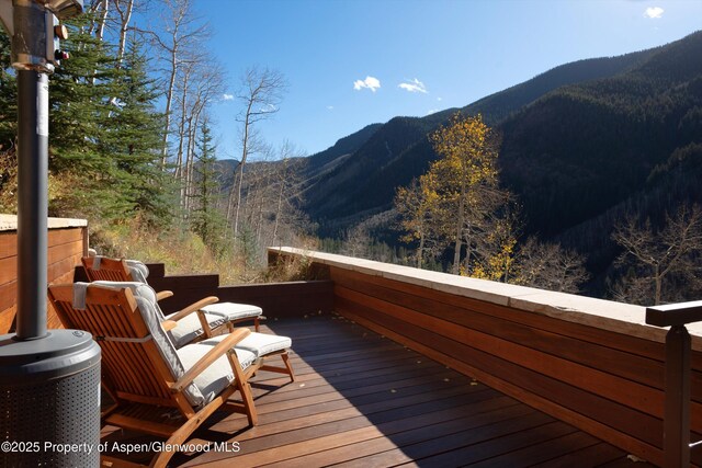 6770 Castle Creek Rd, Aspen, CO 81611 - photo 50