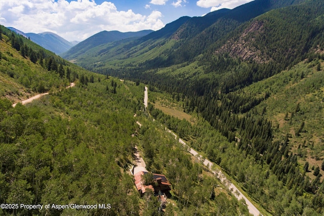 6770 Castle Creek Rd, Aspen, CO 81611 - photo 4