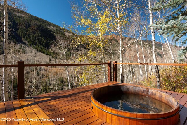 6770 Castle Creek Rd, Aspen, CO 81611 - photo 48