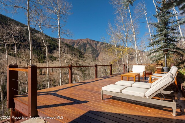6770 Castle Creek Rd, Aspen, CO 81611 - photo 46