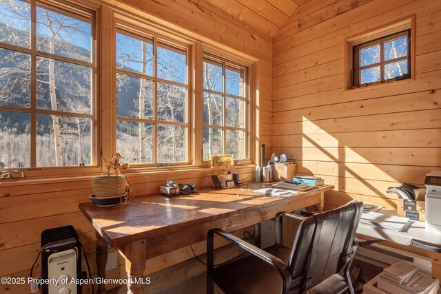 6770 Castle Creek Rd, Aspen, CO 81611 - photo 45
