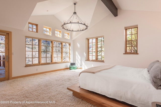 6770 Castle Creek Rd, Aspen, CO 81611 - photo 18