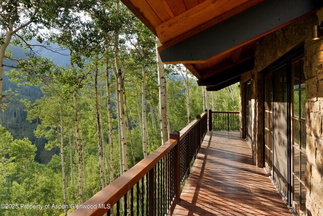 6770 Castle Creek Rd, Aspen, CO 81611 - photo 40