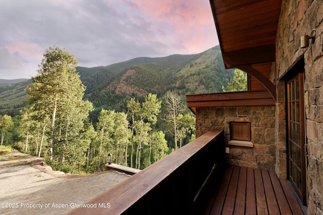 6770 Castle Creek Rd, Aspen, CO 81611 - photo 41