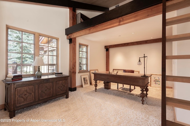 6770 Castle Creek Rd, Aspen, CO 81611 - photo 22
