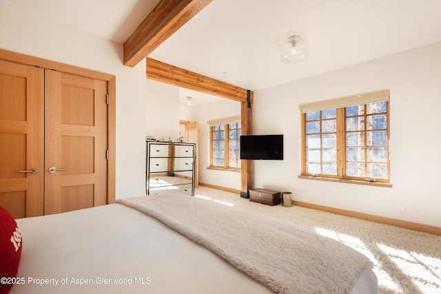 6770 Castle Creek Rd, Aspen, CO 81611 - photo 32