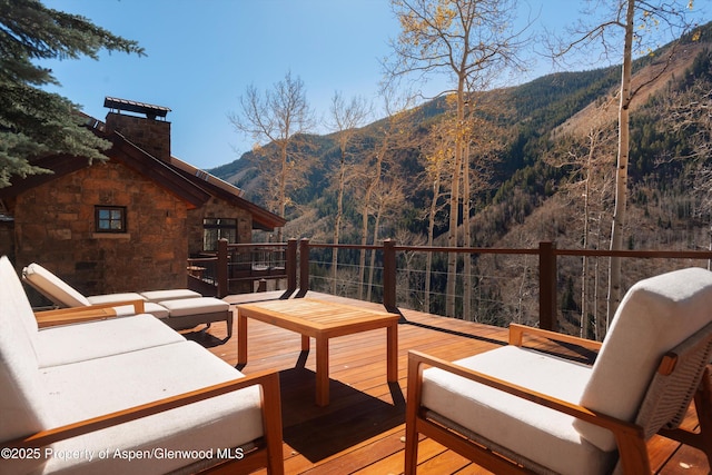 6770 Castle Creek Rd, Aspen, CO 81611 - photo 47